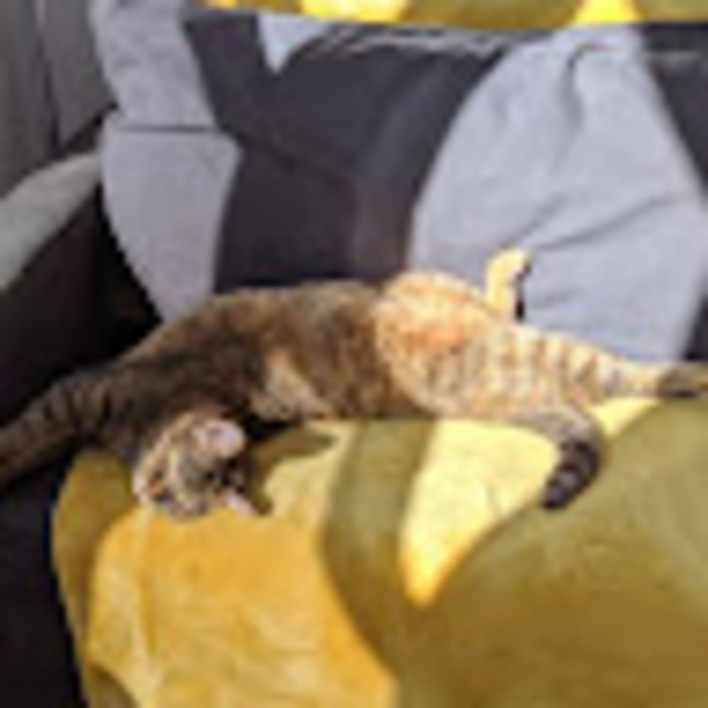 Meet your Posher, Kathleen